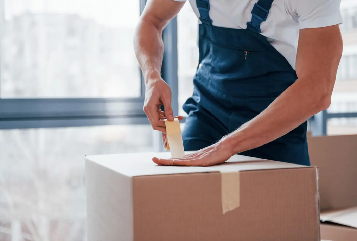 Professional Packaging