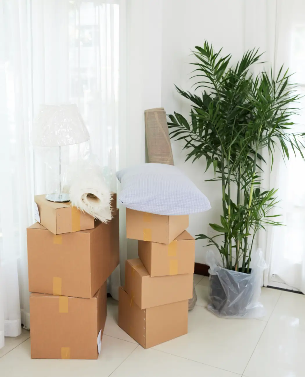 Umzugsdienstmitarbeiter (6)