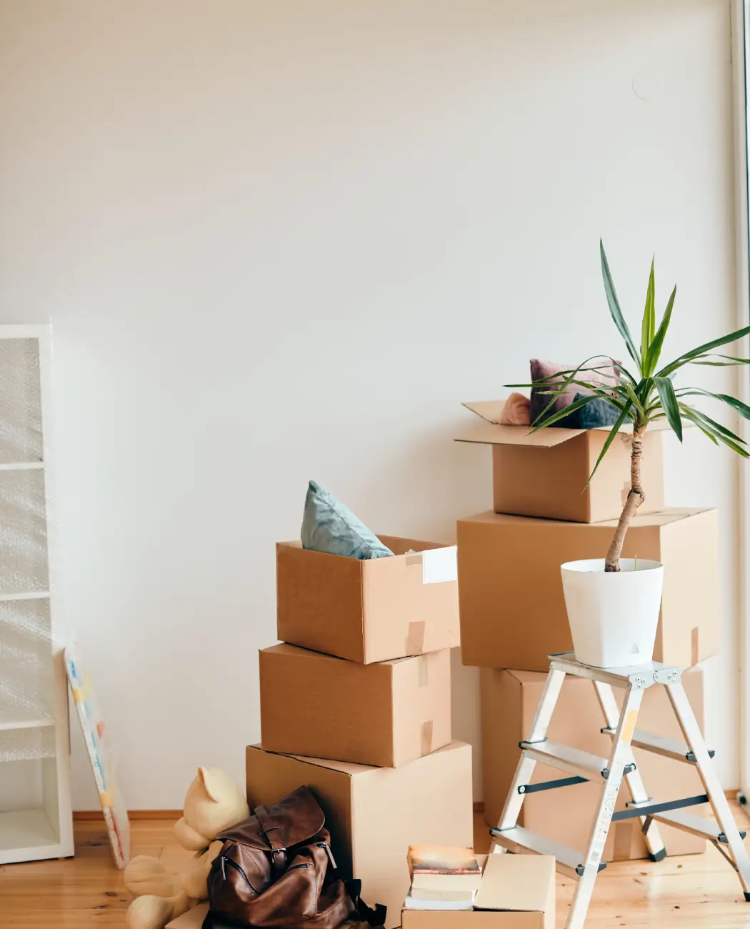 Umzugsdienstmitarbeiter (7)