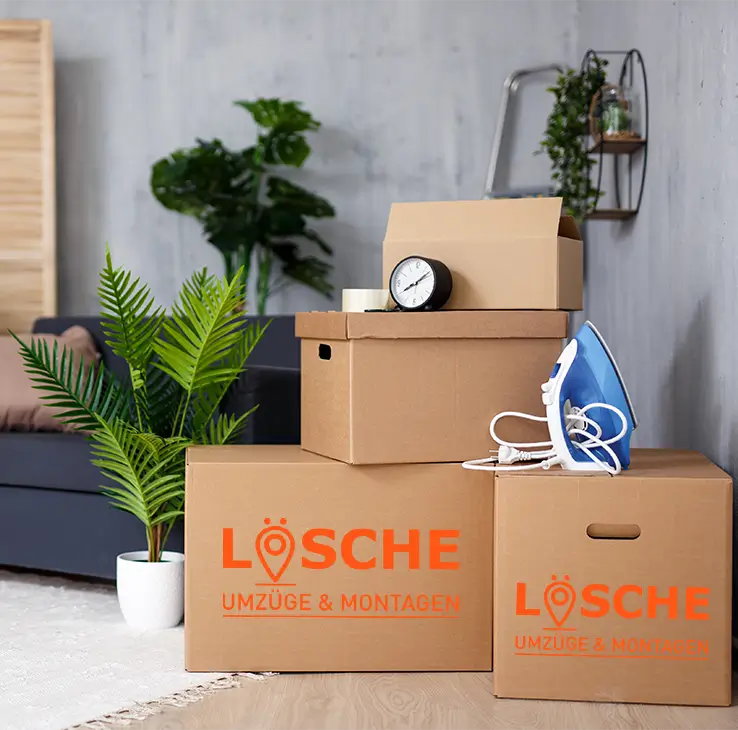 Salus BKK Umzug – Ihre Hilfe für einen reibungslosen Umzug
